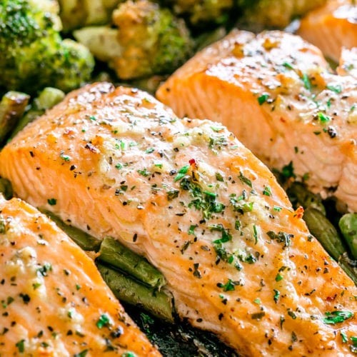 Salmon
